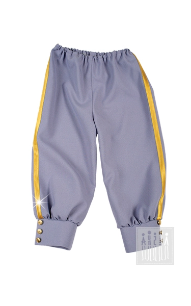 Бриджи европейские (рост 122-128 / серый)