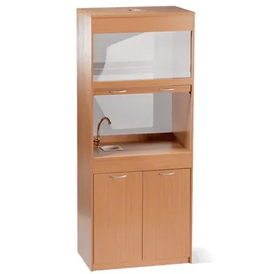 Шкаф лабораторный вытяжной с сантехникой 