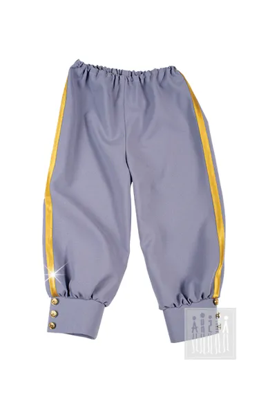 Бриджи европейские (рост 122-128 / серый)